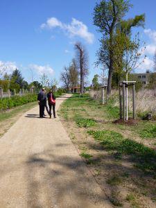 Foto des Albums: Freigabe Neugestaltung Klosterpark Mühlberg