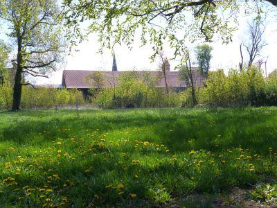 Foto des Albums: Freigabe Neugestaltung Klosterpark Mühlberg