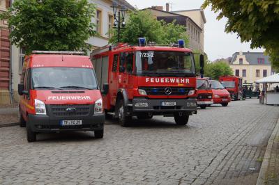Foto des Albums: 130 Jahre Freiwillige Feuerwehr Dahme, Aufstellen des Maibaumes (01.05.2014)