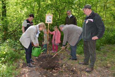 Foto des Albums: Familienwaldfest im Hainholz