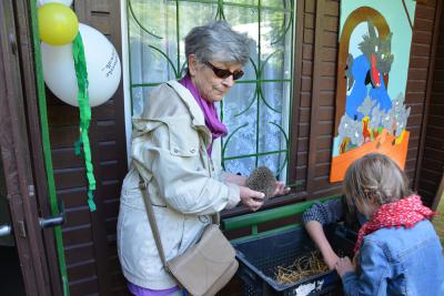 Foto des Albums: Familienwaldfest im Hainholz