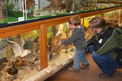 Foto des Albums: Familienwaldfest im Hainholz