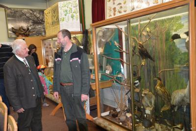 Foto des Albums: Familienwaldfest im Hainholz