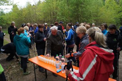 Foto des Albums: 6. Nordic-Walking-Tag in Alt Daber (04.05.2014)