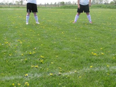 Foto des Albums: Sommerfeld - HSV