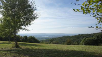 Foto des Albums: 2013 TSG Herbstwanderung (03.10.2013)