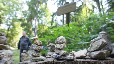 Foto des Albums: 2013 TSG Herbstwanderung (03.10.2013)