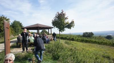 Foto des Albums: 2013 TSG Herbstwanderung (03.10.2013)