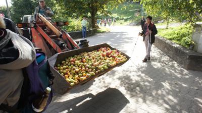 Foto des Albums: 2013 TSG Herbstwanderung (03.10.2013)