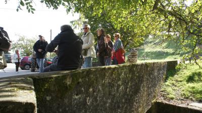 Foto des Albums: 2013 TSG Herbstwanderung (03.10.2013)