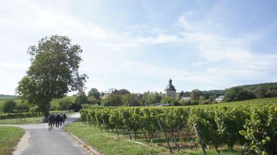 Foto des Albums: 2013 TSG Herbstwanderung (03.10.2013)