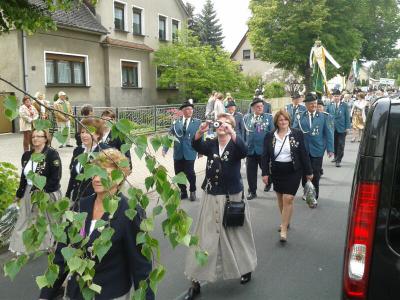 Foto des Albums: Blütenfestumzug I (11. 05. 2014)
