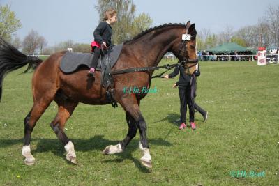 Foto des Albums: Reitertag Kraatz 2014 Gespannfahren (19.04.2014)