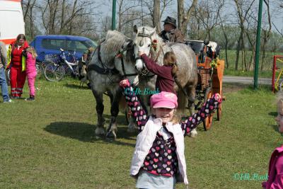 Foto des Albums: Reitertag Kraatz 2014 Gespannfahren (19.04.2014)