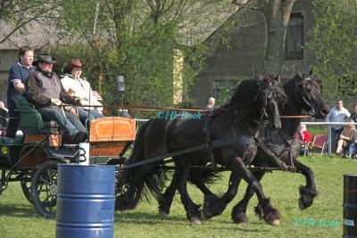 Foto des Albums: Reitertag Kraatz 2014 Gespannfahren (19.04.2014)