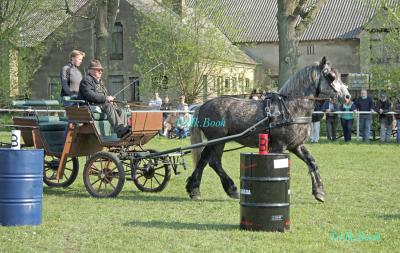 Foto des Albums: Reitertag Kraatz 2014 Gespannfahren (19.04.2014)