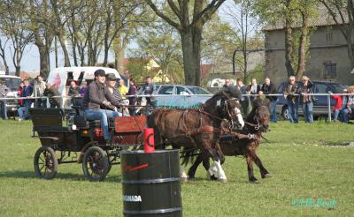 Foto des Albums: Reitertag Kraatz 2014 Gespannfahren (19.04.2014)