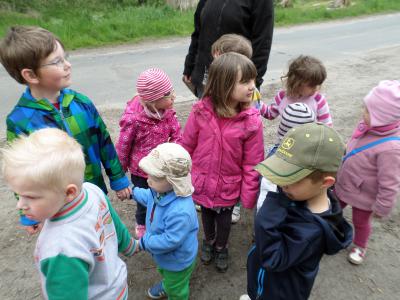 Foto des Albums: Wandertag zum „Grünen Klassenzimmer“ im Weidencamp