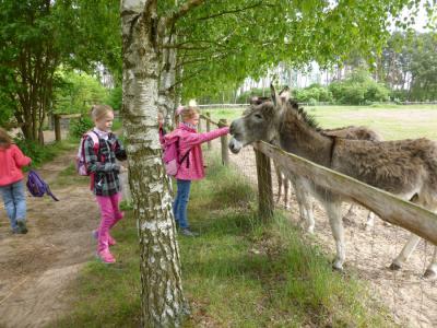 Foto des Albums: Thementag "Haustiere"