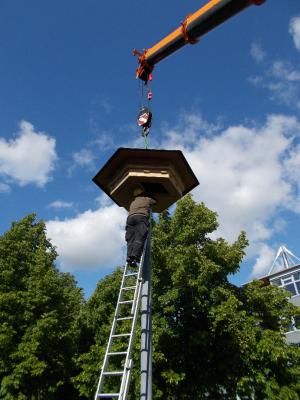 Foto des Albums: Mauersegler-Hotel