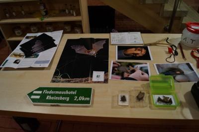Foto des Albums: Fledermauswanderung in Alt Daber (16.05.2014)
