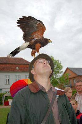 Foto des Albums: Barockfest auf Schloss Ludwigslust