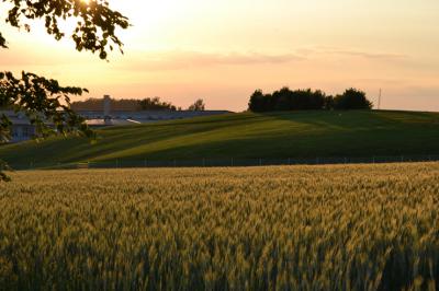 Foto &mdash; Kr&ouml;tzsch Manja 2011 