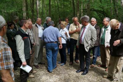 Foto des Albums: 20 Jahre Stadtwald - Exkursion in die Wittstocker Heide (24.05.2014)