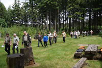 Foto des Albums: 20 Jahre Stadtwald - Exkursion in die Wittstocker Heide (24.05.2014)