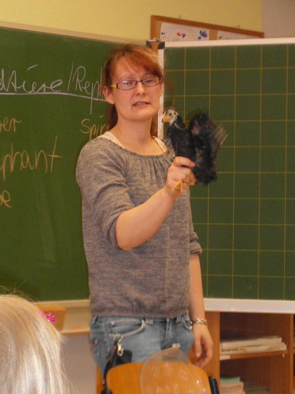Bild der Galerie