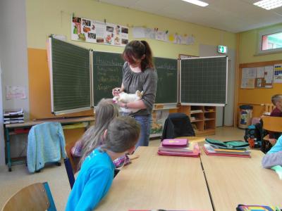 Foto des Albums: Tiere in der Schule? (28.05.2014)