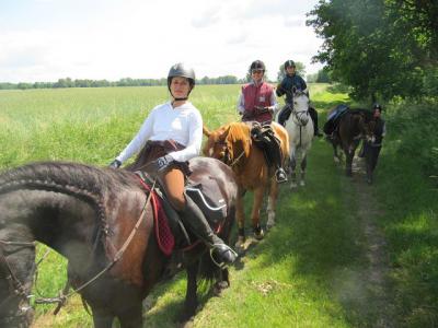 Foto des Albums: Wanderritt Tremmen (31.05.2014)