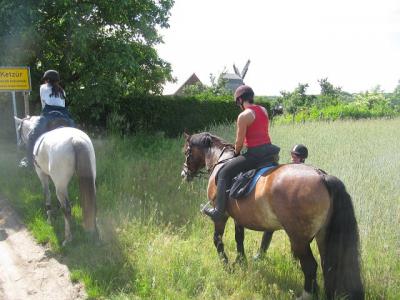 Foto des Albums: Wanderritt Tremmen (31.05.2014)