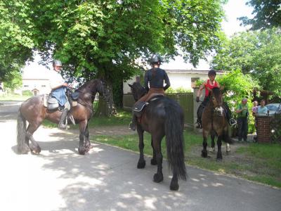 Foto des Albums: Wanderritt Tremmen (31.05.2014)