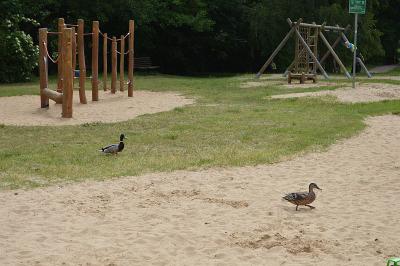 Foto des Albums: Bilder zur Spielplatzeinweihung vom 4. Juni 2014