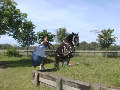 Foto des Albums: Gelassenheitstraining (07.06.2014)