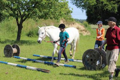 Foto des Albums: Gelassenheitstraining (07.06.2014)