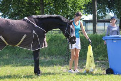 Foto des Albums: Gelassenheitstraining (07.06.2014)