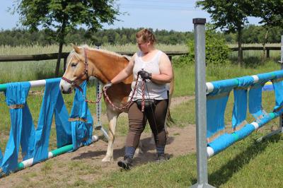 Foto des Albums: Gelassenheitstraining (07.06.2014)