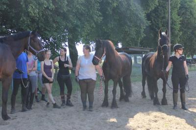 Foto des Albums: Gelassenheitstraining (07.06.2014)