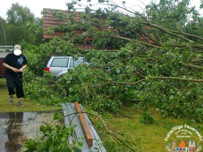 Baum auf PKW 