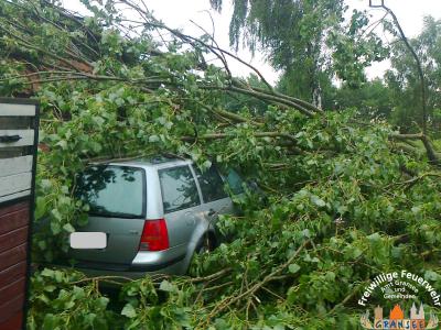 Baum auf PKW 