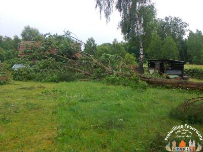 umgest&uuml;rzter Baum 