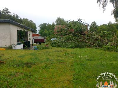 umgest&uuml;rzter Baum 