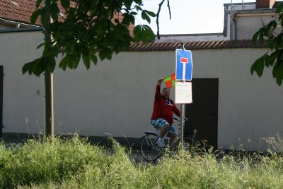 Foto des Albums: Altstadtlauf 2014 (06.06.2014)