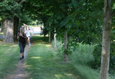 Foto des Albums: Altstadtlauf 2014 (06.06.2014)