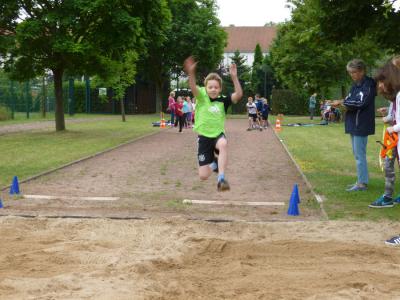 Foto des Albums: Sportfest 2014