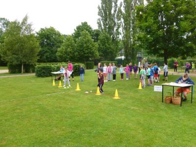 Foto des Albums: Sportfest 2014