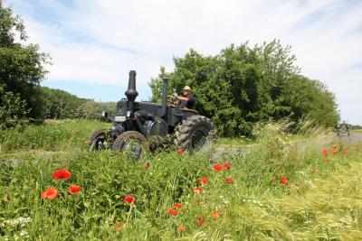 Foto des Albums: Traktortreffen und Dorffest in Waltersdorf