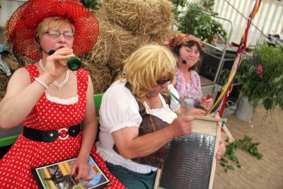 Foto des Albums: Traktortreffen und Dorffest in Waltersdorf